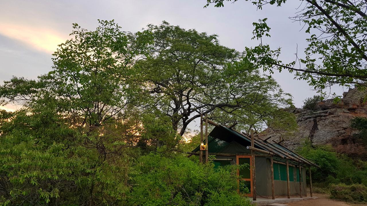 Awelani Lodge Masisi Extérieur photo